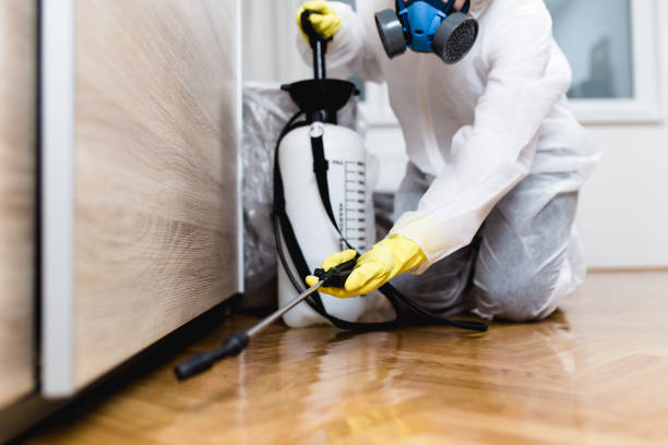 Best Bed Bug Extermination  in Monticello, IL