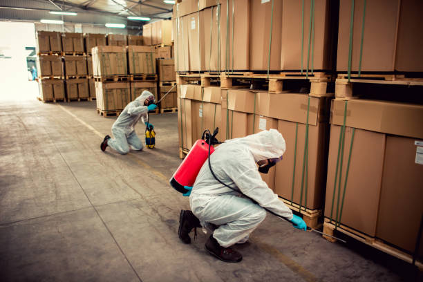 Pest Prevention Services in Monticello, IL