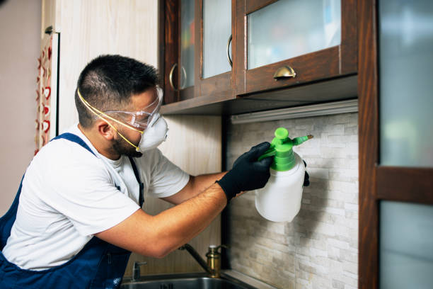 Best Pest Prevention Services  in Monticello, IL