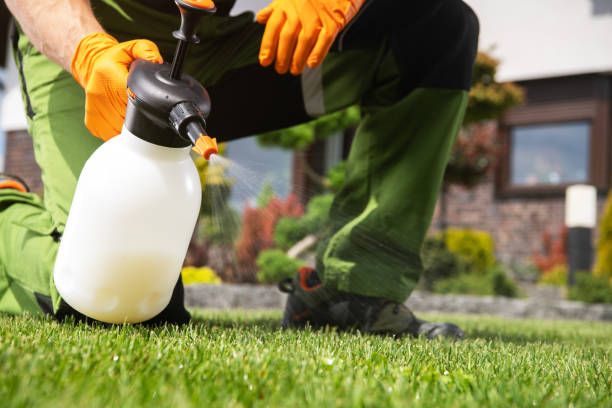Best Residential Pest Control  in Monticello, IL
