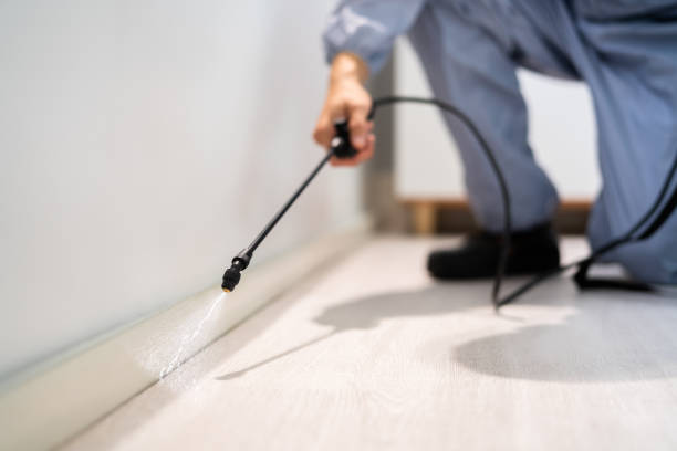 Reliable Monticello, IL Pest Control Solutions