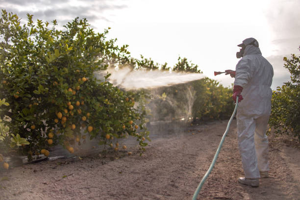 Best Wildlife Control Services  in Monticello, IL