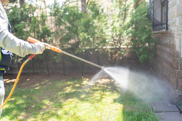 Best Rat Extermination Near Me  in Monticello, IL