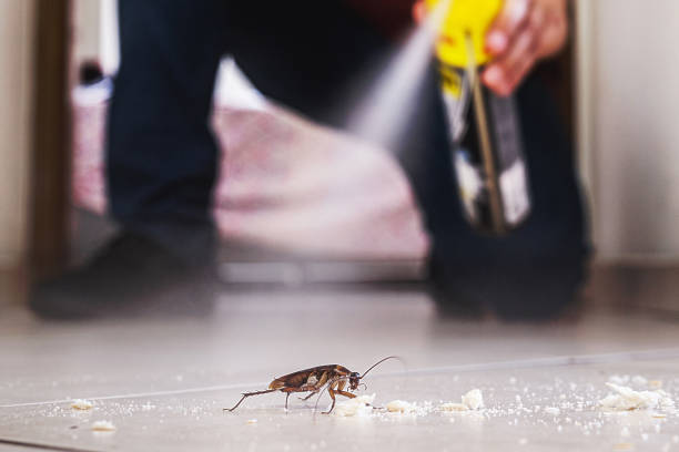 Indications of Pest Infestation